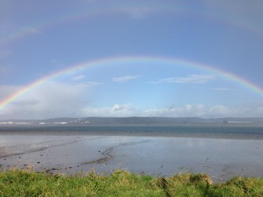 Ireland Allisons iPhone - 0208