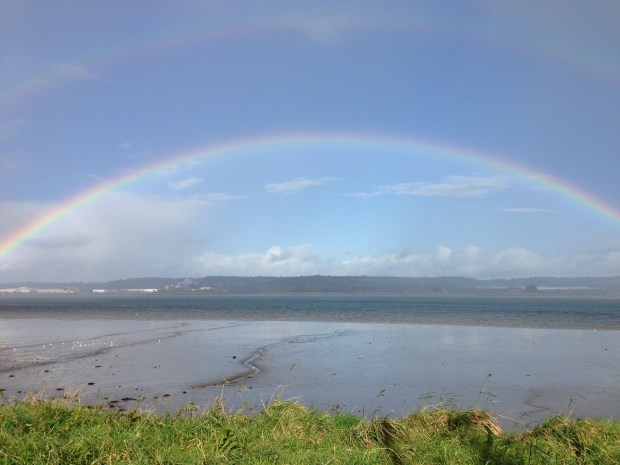 Ireland Allisons iPhone - 0208