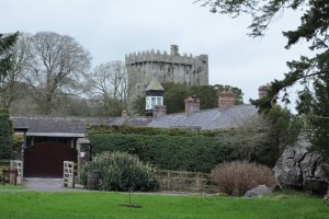 Ireland Jons Camera - 0561