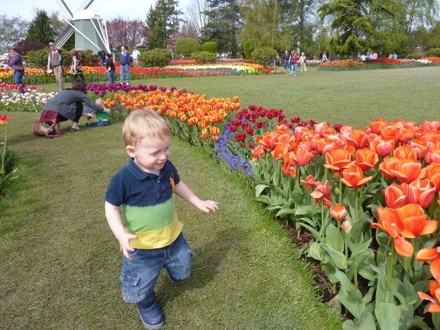 Tulip Festival 2012 - 0022